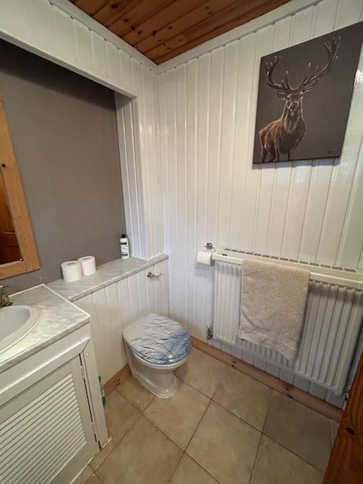 Craiglea Cottage, Self Catering Highland Cottage. Fort William Exteriör bild